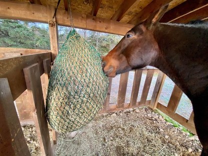 Filet à foin pour chevaux